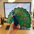 Peacock Amigurumi Pattern step 1 - construction progress