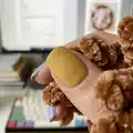Herbie Hedgehog Amigurumi Pattern step 3 - details and accessories