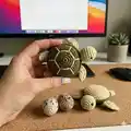 Turtles Amigurumi Pattern step 4 - final assembly and finishing