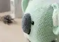 Pillow-koala Amigurumi Pattern step 2 - assembly progress