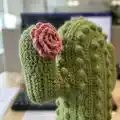 Crochet Cactus Pillow Pattern step 3 - details and accessories