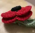 British Legion Poppy Appeal Poppies Pattern step 1 - construction progress