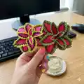 Watermelon Coleus Pattern step 1 - construction progress