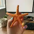 Starfish Amigurumi Pattern step 2 - assembly progress