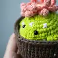 Cactus frog with removeable pot Amigurumi Pattern step 3 - details and accessories