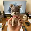Cute Cat Amigurumi Pattern step 2 - assembly progress