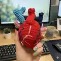 Anatomical Heart Amigurumi Pattern step 4 - final assembly and finishing